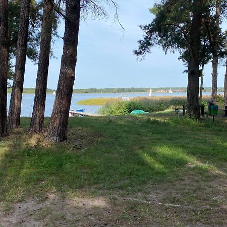 Apartament Wiewiorka Radzyń Екстериор снимка