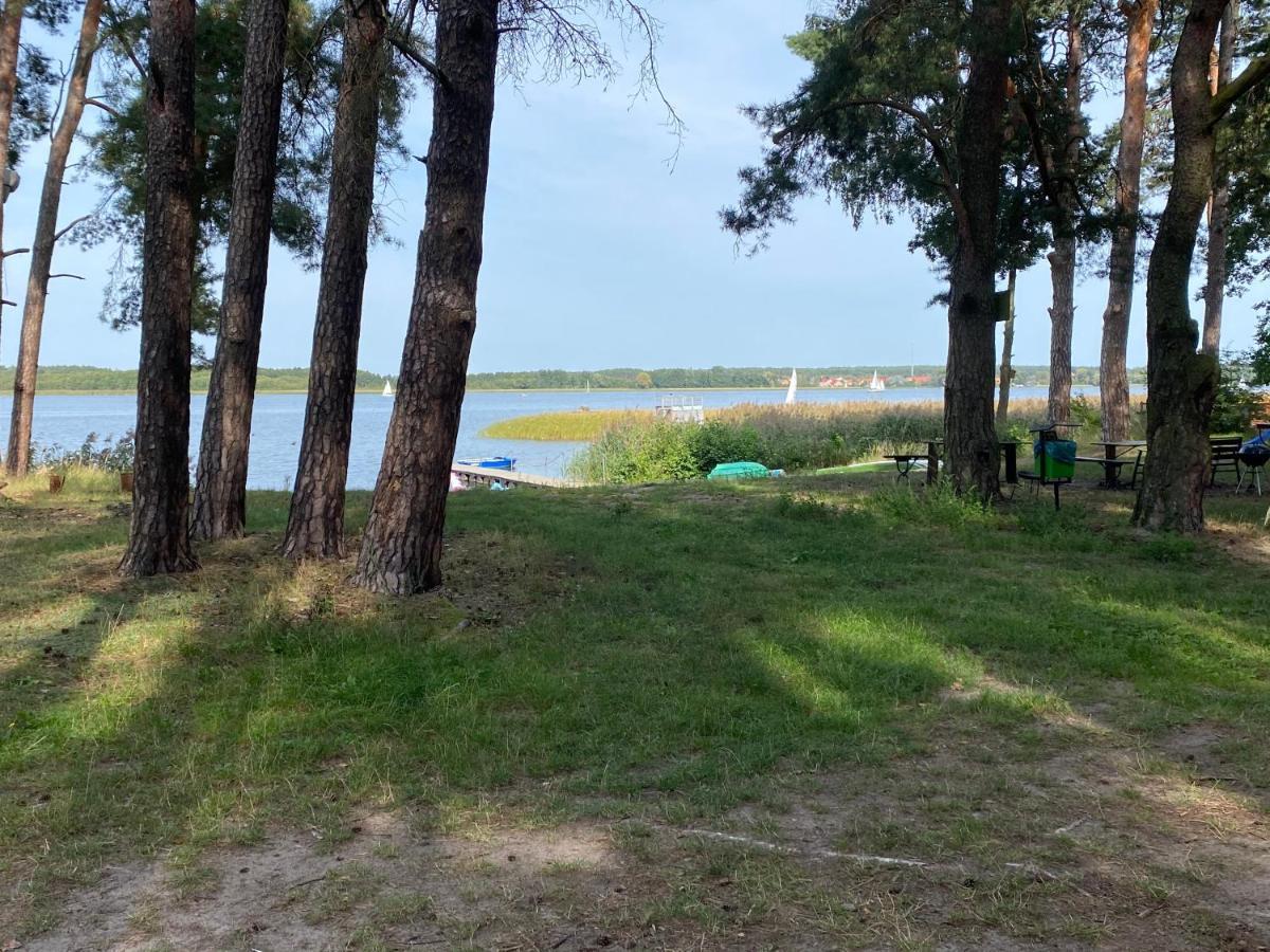Apartament Wiewiorka Radzyń Екстериор снимка